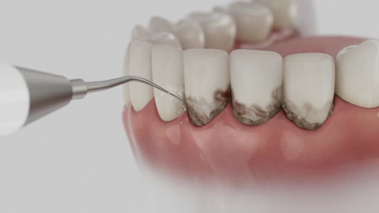 Reliable Dental contractor in Oakland, PA by Dentist Open Now
